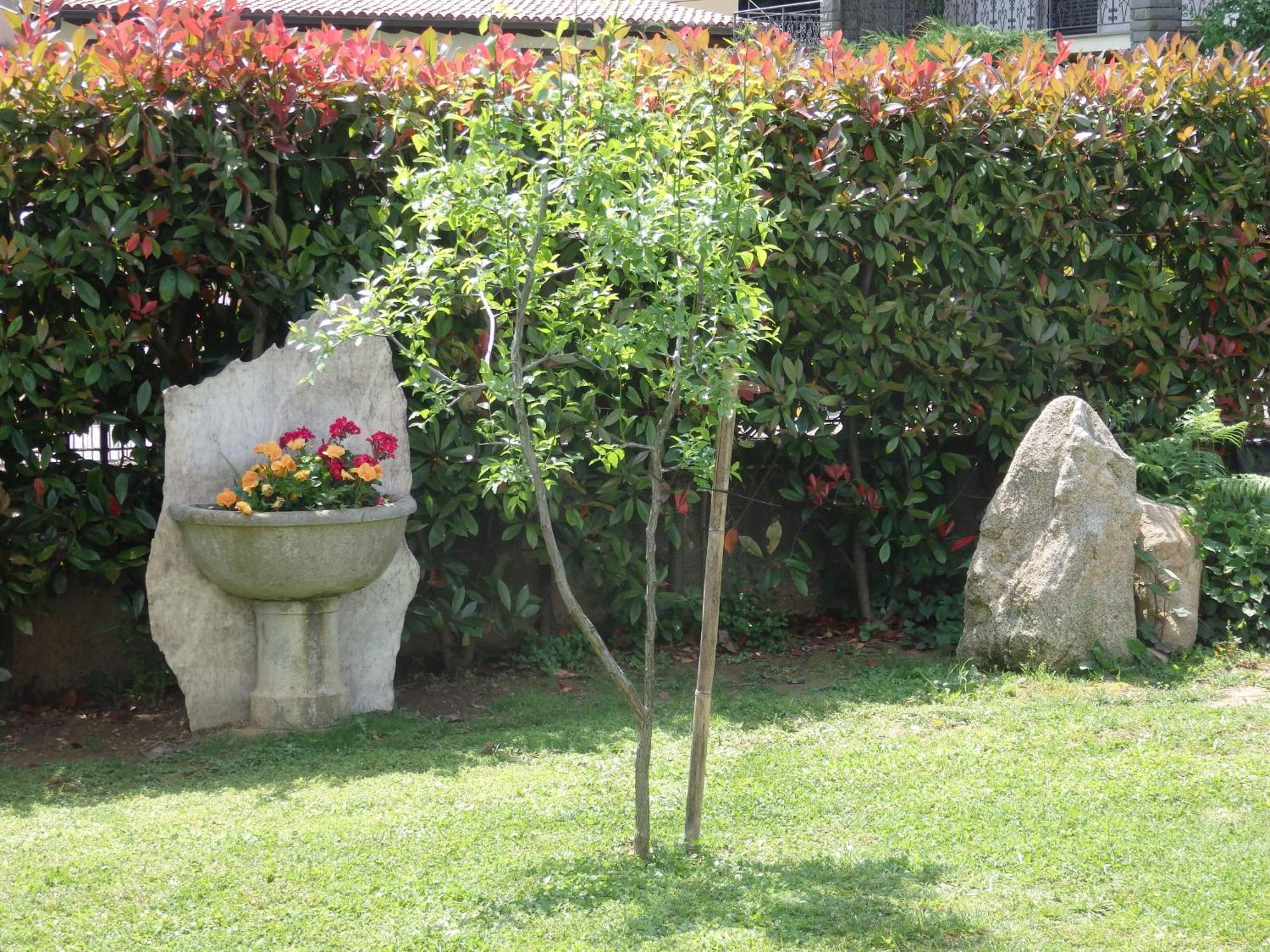 Riflessi D'Arte Bed and Breakfast Provaglio d'Iseo Eksteriør billede
